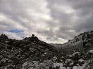 photo thumbnail #15
