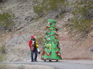 photo thumbnail #3