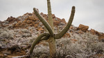photo thumbnail #6
