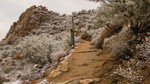 photo thumbnail #9