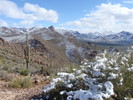 photo thumbnail #2