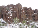 photo thumbnail #10