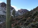 photo thumbnail #11