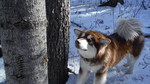 photo thumbnail #9