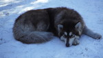 photo thumbnail #10