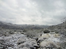 photo thumbnail #2