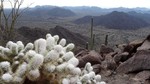 photo thumbnail #2