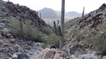 photo thumbnail #10