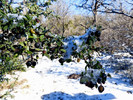 photo thumbnail #8