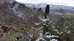 photo thumbnail #11
