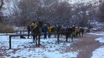 photo thumbnail #8