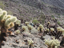 photo thumbnail #4