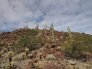 photo thumbnail #5