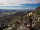 photo thumbnail #6