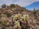 photo thumbnail #7