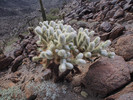 photo thumbnail #8