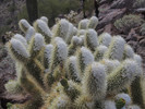 photo thumbnail #9
