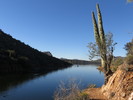 photo thumbnail #3