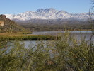 photo thumbnail #8