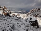 photo thumbnail #5