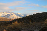 photo thumbnail #1