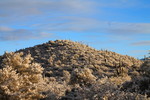 photo thumbnail #2