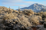 photo thumbnail #3