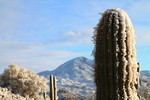 photo thumbnail #5