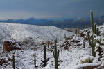 photo thumbnail #11