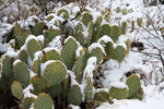 photo thumbnail #15