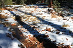 photo thumbnail #3