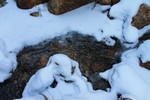 photo thumbnail #11