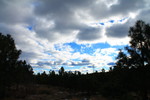 photo thumbnail #12
