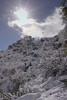 photo thumbnail #12