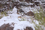 photo of comment