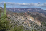 photo thumbnail #7