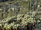 photo thumbnail #11