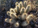 photo thumbnail #15