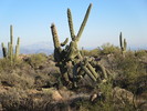 photo thumbnail #2