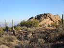 photo thumbnail #3