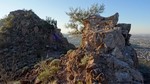 photo thumbnail #2
