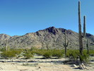 photo thumbnail #1