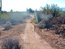 photo thumbnail #1