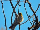 photo thumbnail #4