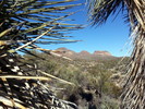photo thumbnail #3
