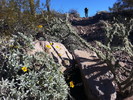 photo thumbnail #4
