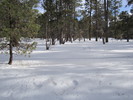 photo thumbnail #7