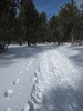 photo thumbnail #8
