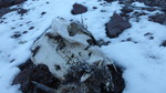 photo thumbnail #8
