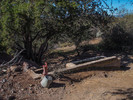 photo thumbnail #4